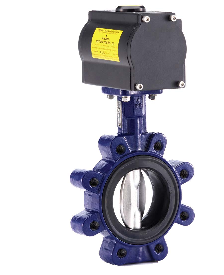 Keystone Series GR Butterfly Valve